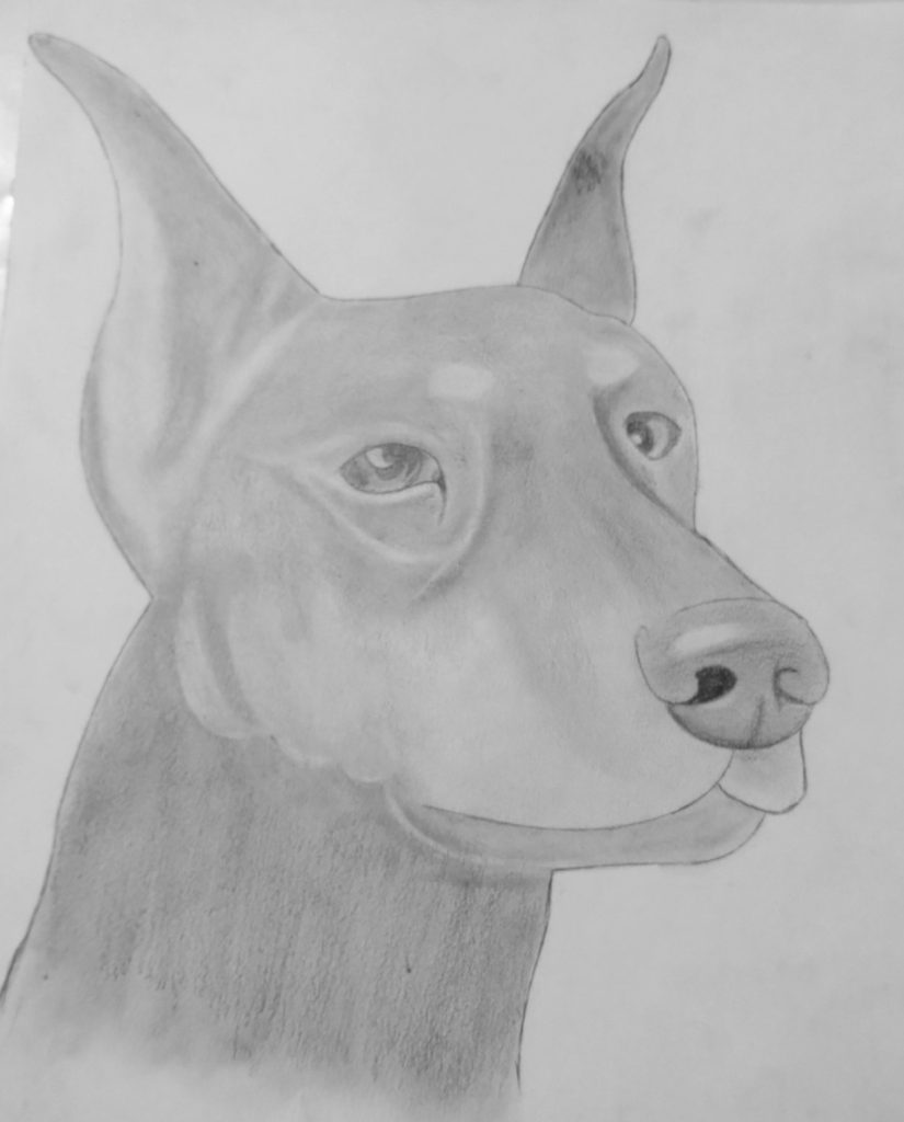 Doberman piece for an art class
