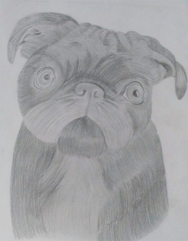 Graphite pug for an art class